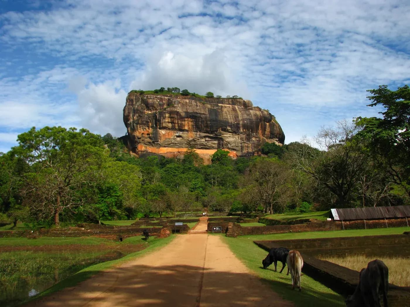 Sigiriya rock fortress above the surrounding forest