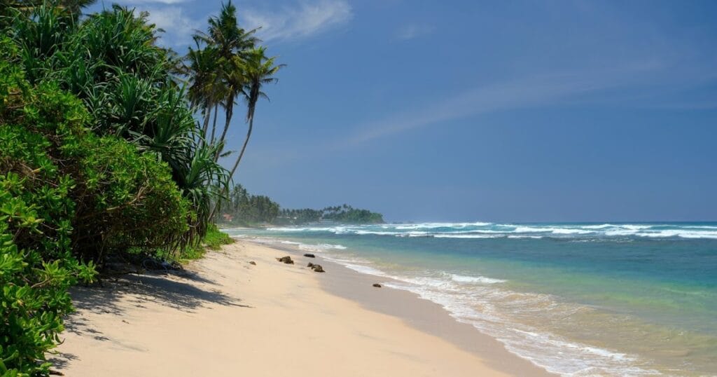 Sri Lanka Surf Explorer