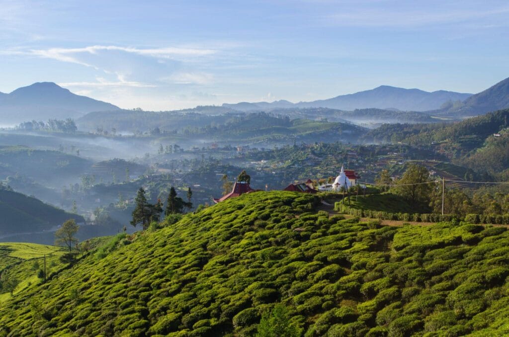 3 Nights 4 Days Sri Lanka Tour