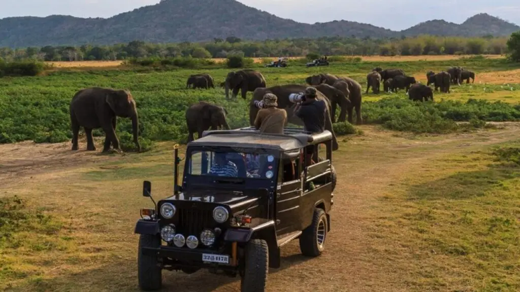 9 Days Sri Lanka Beach & Wildlife Adventure